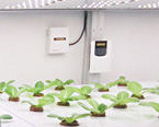 digital greenhouse